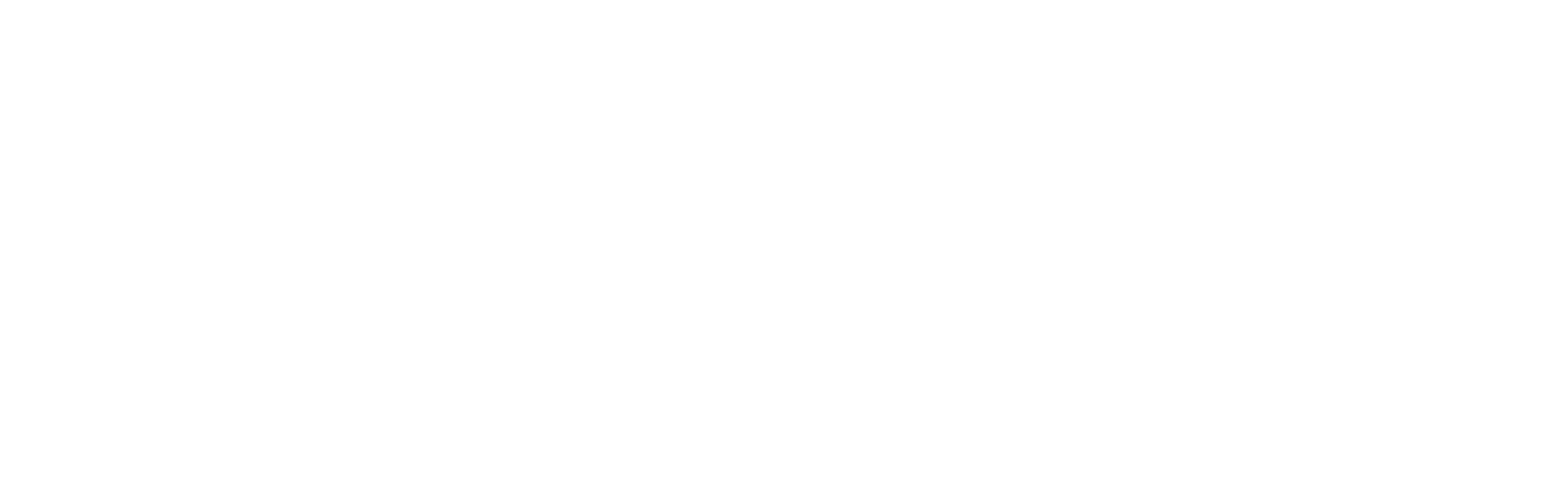 Bowdark Consulting Logo